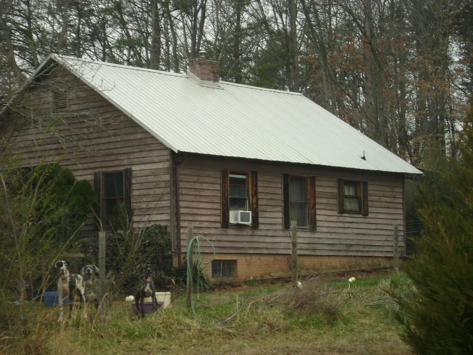 White metal roof on an old wood sided farmhouse, from a Metal Roof Installation job in Idledale